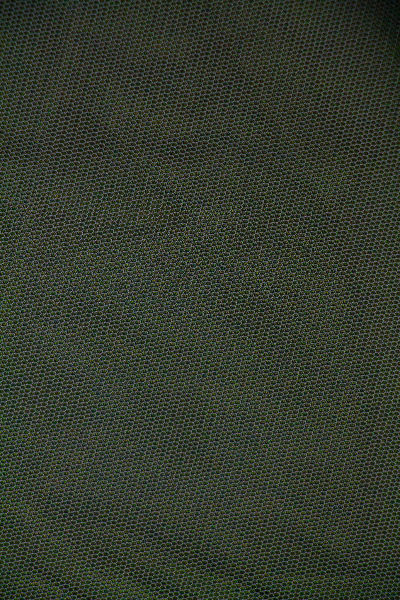 Jupe CRYSTAL tulle kaki